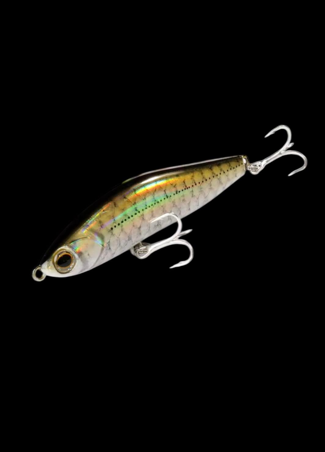 SS Minnow (Golden Mullet)
