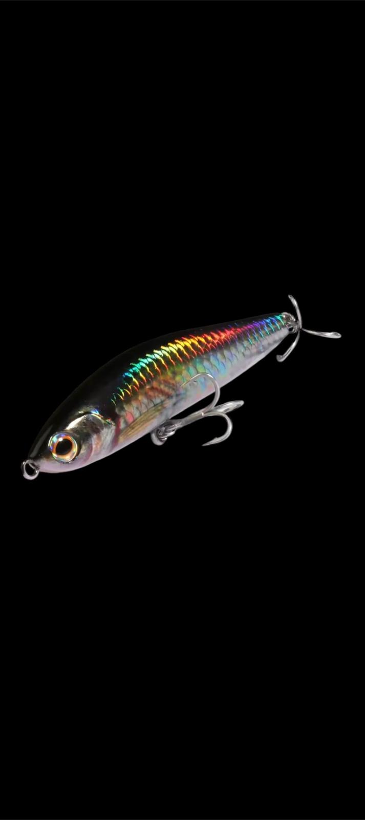 SS Minnow (Silver Scad)