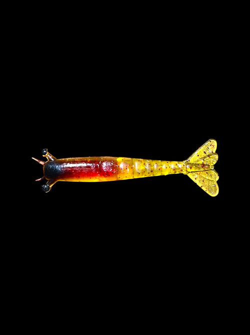 Mighty Prawn (Orange Sun)