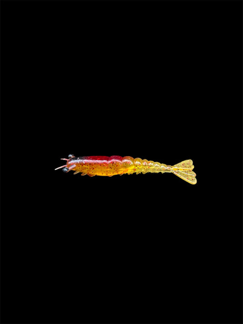 Mighty Prawn (Orange Sun)