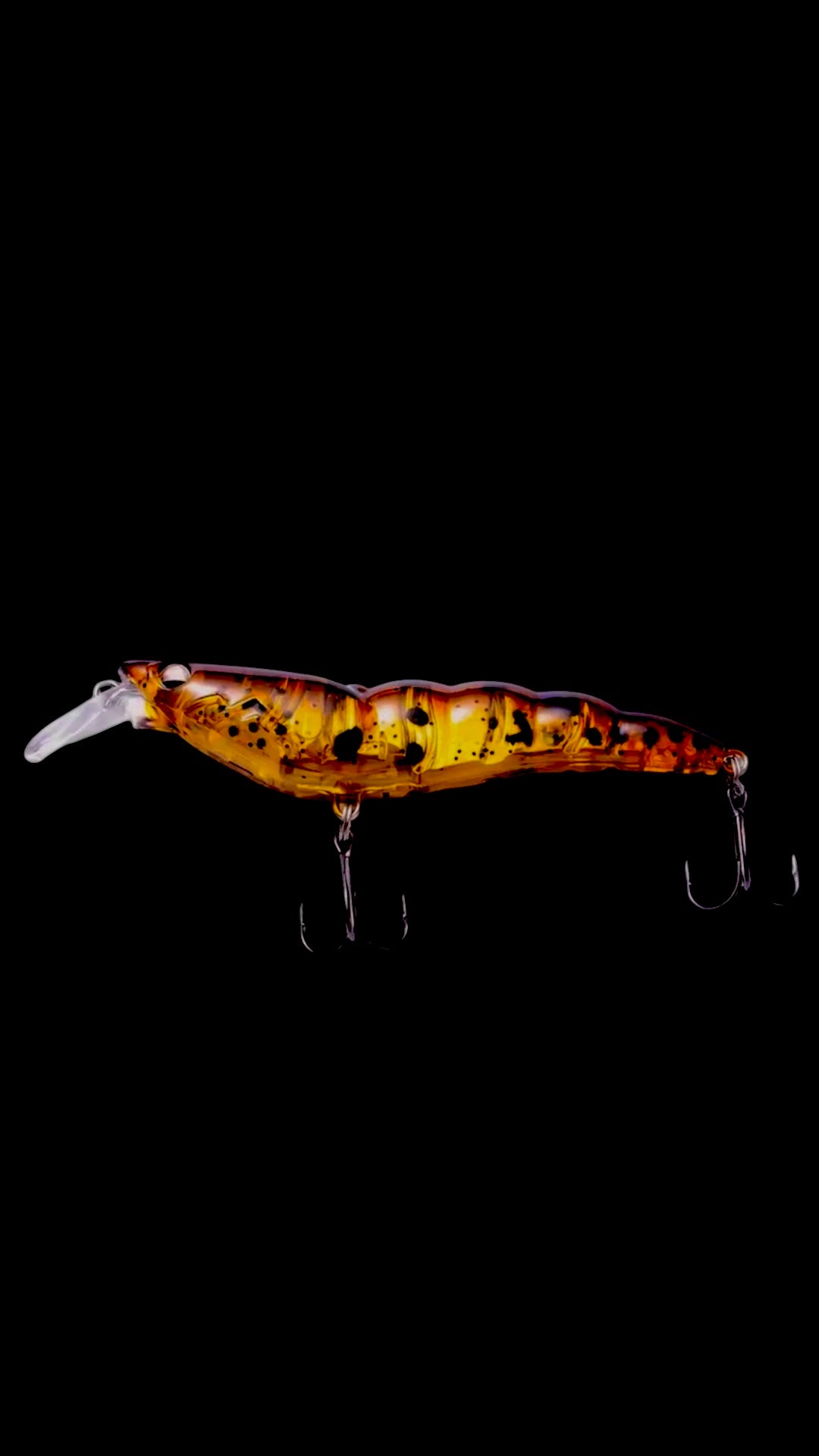 SP Prawn (Golden Shima)
