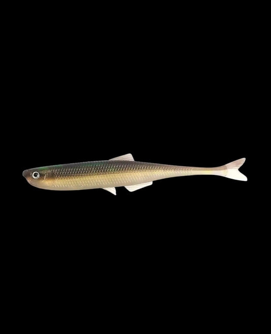 Warp Minnow (Brown Shad)
