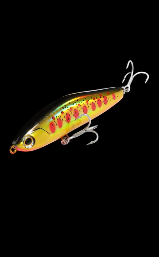 SS Minnow (Golden Mullet)