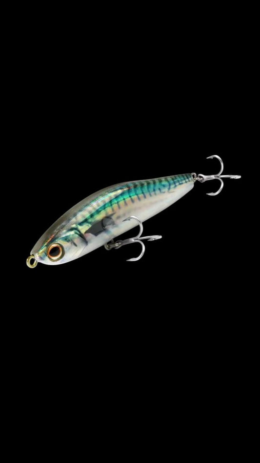 SS Minnow (Slimy Mackerel)